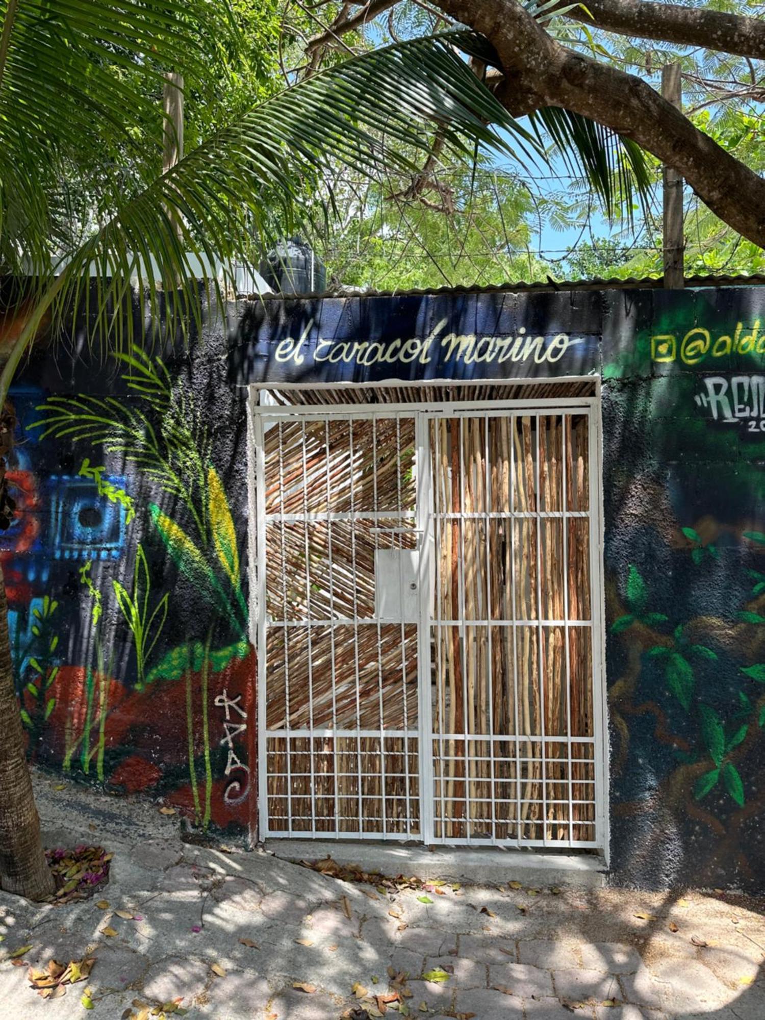 Apartamento Jungle&beach